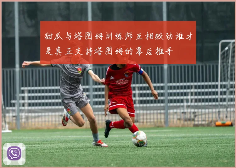 甜瓜与塔图姆训练师互相较劲谁才是真正支持塔图姆的幕后推手