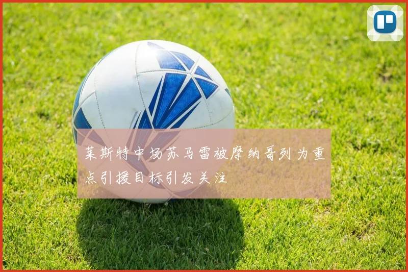 莱斯特中场苏马雷被摩纳哥列为重点引援目标引发关注